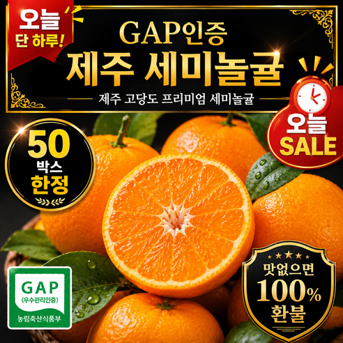 [강력추천] GAP 제주 홍귤 세미놀귤 홍매향 홍미향 썬레드