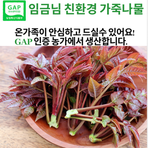 [2024-25년가죽나물판매1위] 참죽나물 우수농장특품 봄향긋 가죽나물