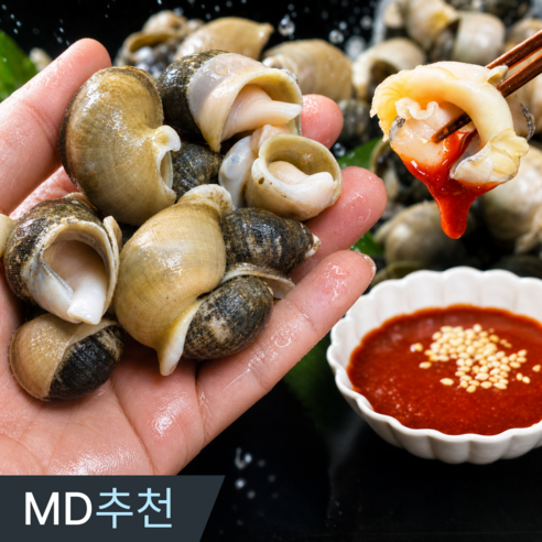 [타임특가] 삼시세끼연구소 자연산 생물 흑고동 소라 골뱅이 산지직송, 1박스, 2kg