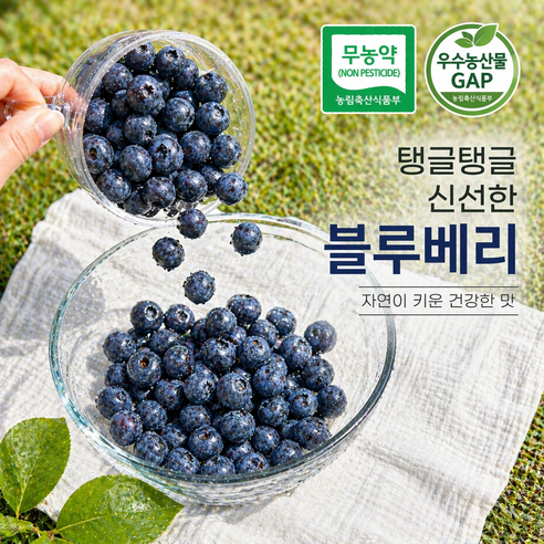 [인증마크보유] 로하스 공식인증 무농약 우수상품 국내산 블루베리, 1개, 100g 중