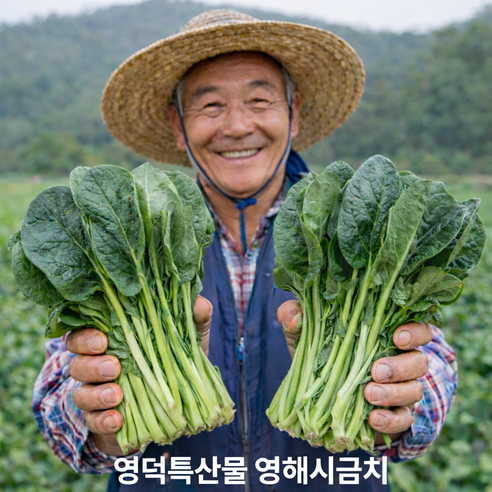 [리초이샵] 영덕 특산물 영해시금치 신선한 포항 영해초 농가직송 시금치 1단, 2단, 3단, 4단, 1개, 300g