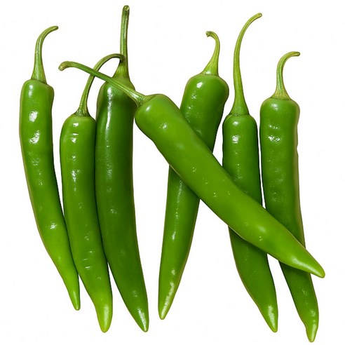 더좋은 국내산 청양고추 땡초 직접재배, 1개, 3kg