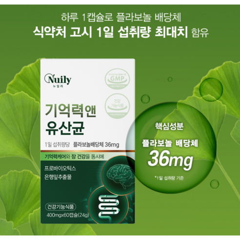 뉴일리 기억력 앤 유산균 400mg 은행잎 추출물 프로바이오틱스 폴라보놀 두뇌 장케어 기억력 혈행 개선