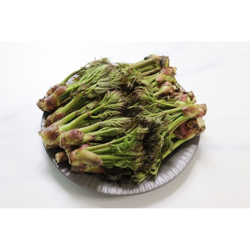 자연산 야생 참두릅 500g 1kg 장아찌용 (겹순) 2026년 주문즉시 수확 발송