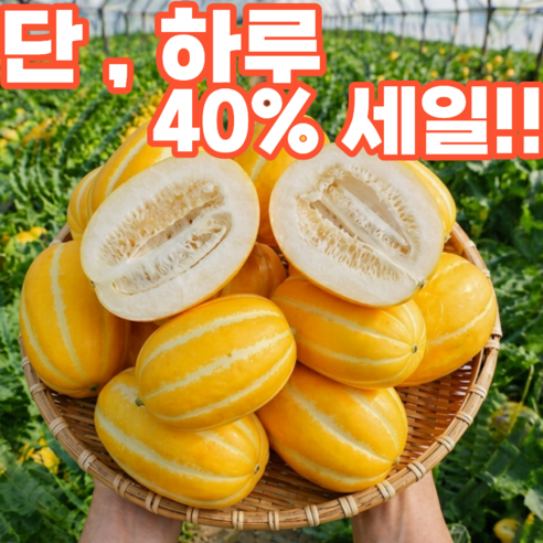 [재구매율1위] 단 하루 초특가 성주 참외 당도선별