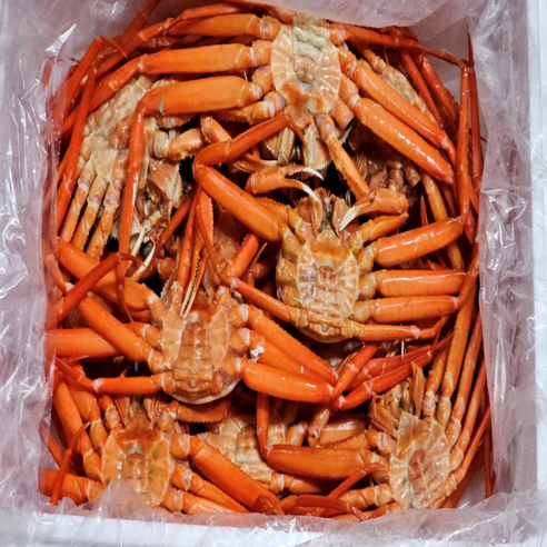 국산 제철 울진 홍게 박달 자숙 홍게