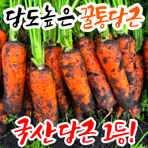 [국산당근1등] 꿀통당근 초특가 국내산 햇 당근, 1박스, 상 5kg