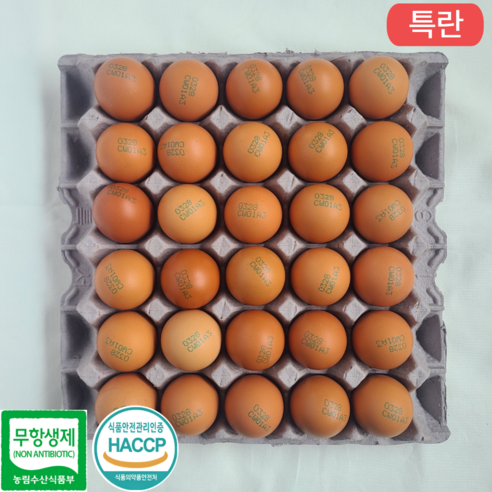 [JP팜] 난각번호 3번 무항생제 계란 신선한 특란 HACCP