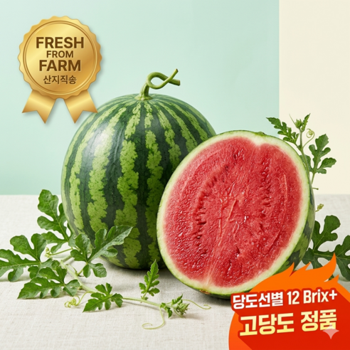 오늘과일 당도선별 꿀수박 고당도 하우스 수박 산지직송
