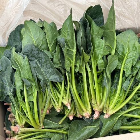 [밋앤밀] 국내산 부여 시금치 2kg