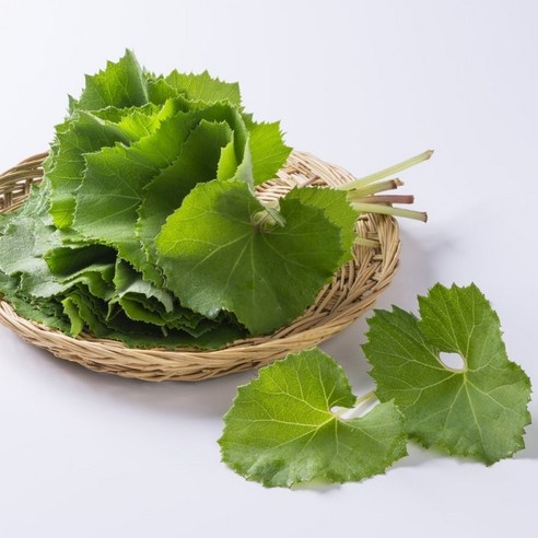전라도 제철 머위대 머구대 머웃대 머위나물 500g 내외 잎제거 (제주/강원도 도서산간 발송 불가)