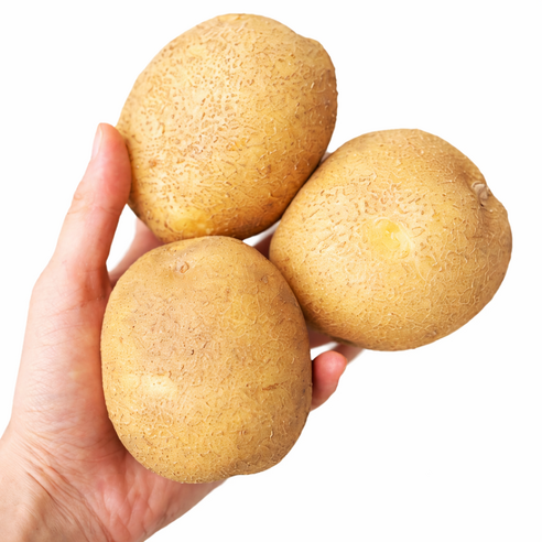 국내산 감자 햇감자 수미감자 타박감자 3kg 5kg 10kg