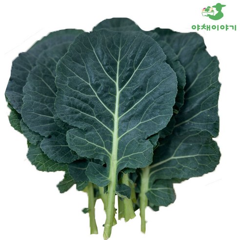 야채이야기 쌈케일 300g 케일 쌈, 1개, 300g