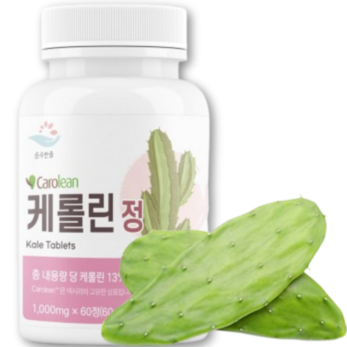 100% 유기농 노팔 선인장 블락킹 다이어트 노팔선인장 블락킹 분말 멕시코 산 노팔 선인장분말 영양제 glp-1 유산균 비만 치료제 다이어트 100 % 식약청 HACCP 인증
