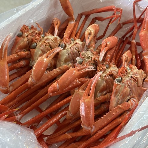 바로먹는 후포리 정품 박달홍게 자숙 3.5kg - 집에서 즐기는 달큰한 홍게파티