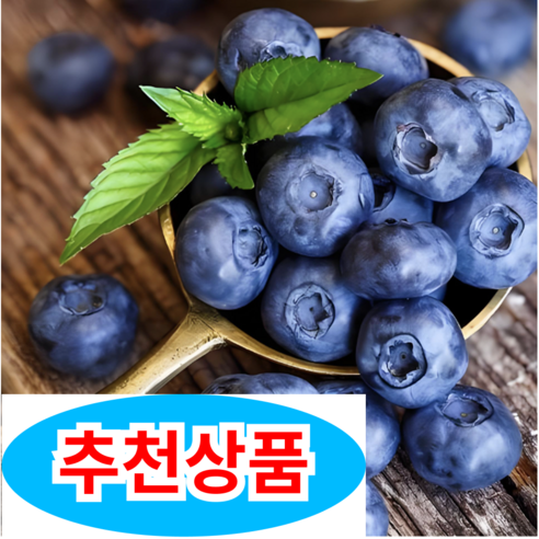 [신선끝판왕]국내산 초고당도 특가 생 블루베리, 1세트, 200g