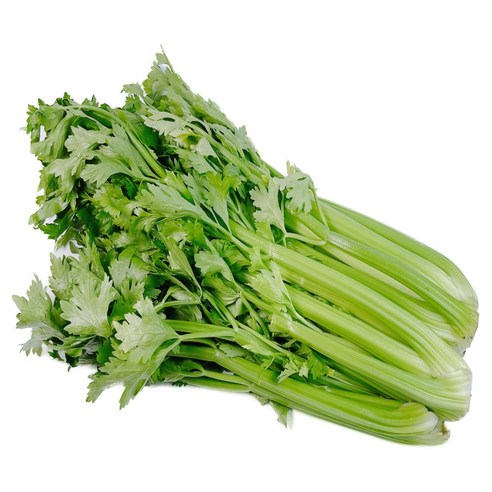 일등농수산 유기농 전남 광양 샐러리, 2kg, 1개
