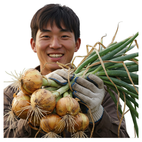 더좋은 무안 양파, 1개, 4kg(상)