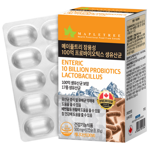 메이플트리 장용성 100억 프로바이오틱스 생유산균