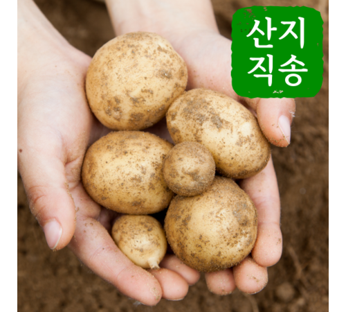 안전하고 신선한 친환경 감자 선택 가이드