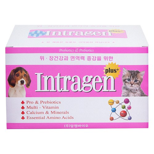 인트라젠 반려동물 플러스 영양제, 장건강/유산균, 1개