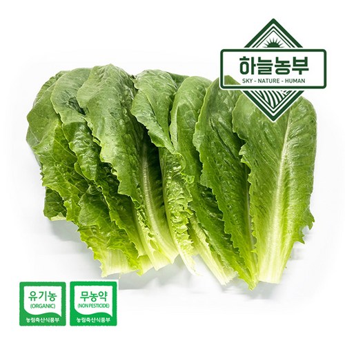 5e3d96ae26cc2bd2a371594709a0f9e002da5f49a2f34b23ae5c6068f72e.jpg