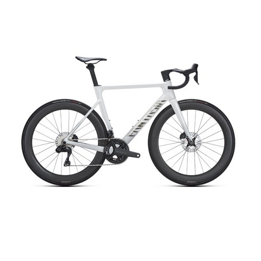 판타시아 레이다 6 105 Di2 카본 로드 자전거 입문용 도로 사이클 전동 변속 로드