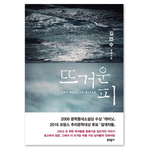 뜨거운 피:김언수 장편소설