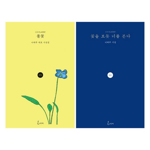 꽃을 보듯 너를 본다 + 풀꽃 전 2권 세트 : 나태주 시집