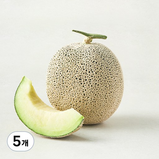 [로켓프레시] 곰곰 고당도 고창 멜론