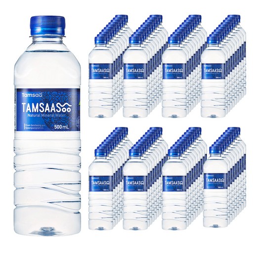탐사수 500ml 80개