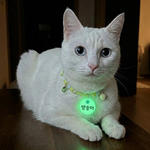 야광 이름표 비즈 고양이 목걸이