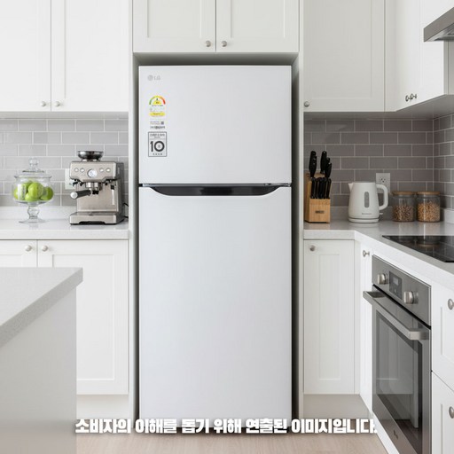 LG전자 일반형냉장고