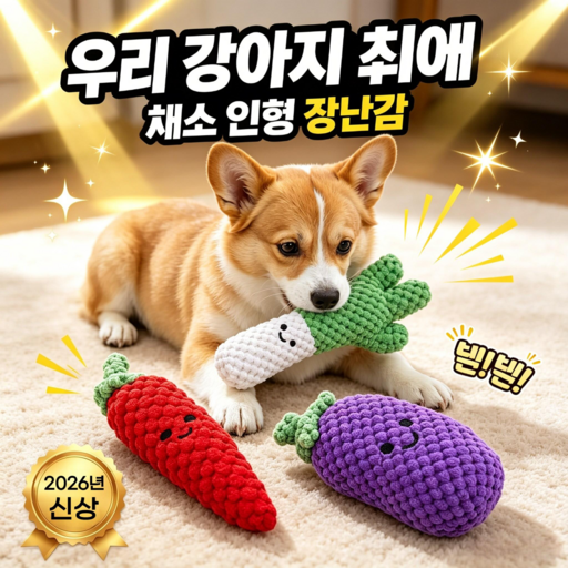 강아지 이갈이 장난감 애견 삑삑이 장난감 세트