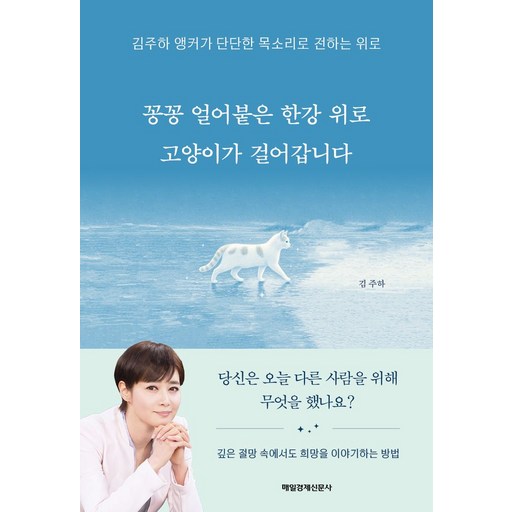꽁꽁 얼어붙은 한강 위로 고양이가 걸어갑니다:김주하 앵커가 단단한 목소리로 전하는 위로