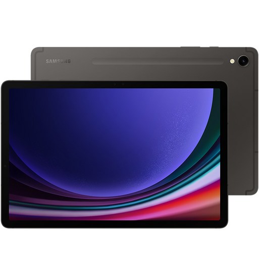 삼성전자 갤럭시탭 S9, 그라파이트, 128GB, WiFi