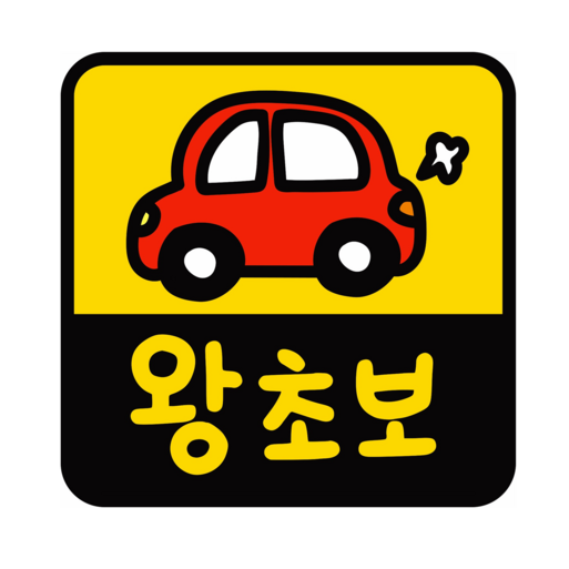 초강력 자력 귀여운 자동차 초보운전  반사 자석 스티커
