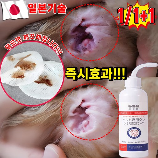 국내배송 111 강아지 귀 세정제 귀염 고양이 귀청소 외이염 귀냄새 제거 클리너 진드기 살균율99.9999 포장 랜덤 증정