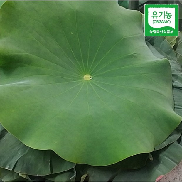 d575704b-fb0d-4b19-9214-498815913808.jpg