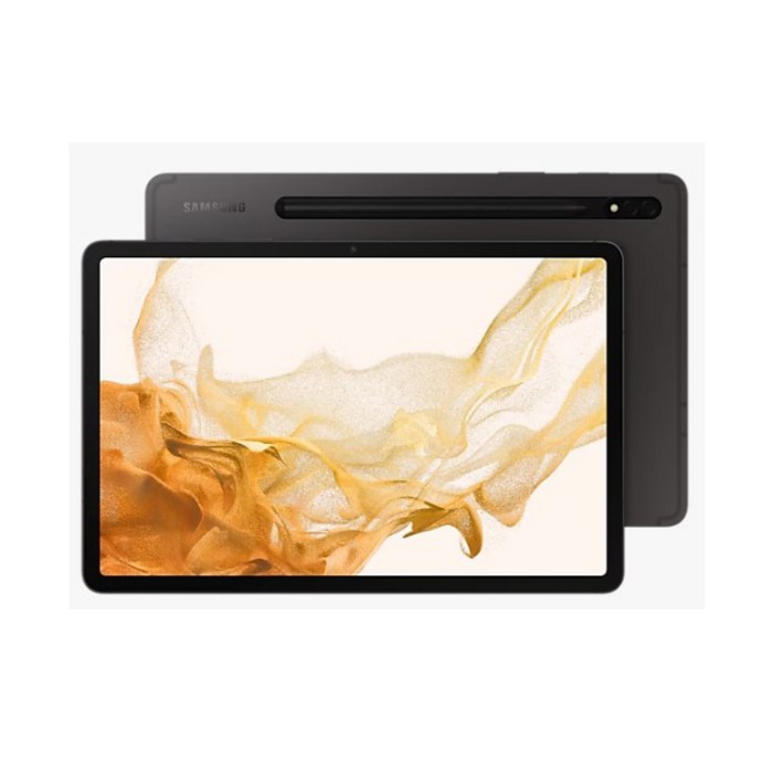 삼성전자 갤럭시탭 S8 SM-X700