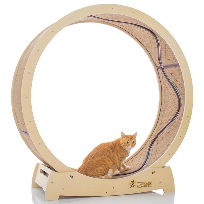 집사의반격 스타캣휠 1200 물고기캣휠 펫휠