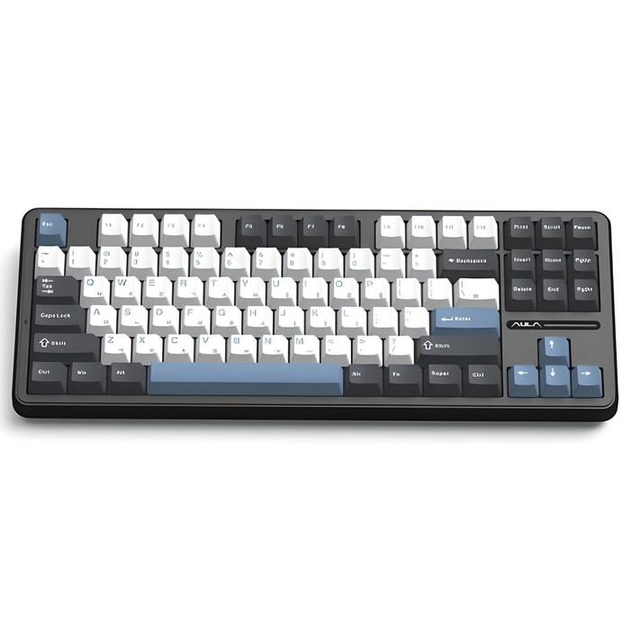 AULA 아우라 독거미 유무선 기계식 키보드
