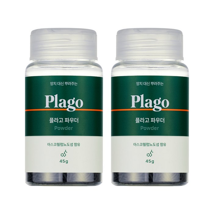 플라고 덴탈 파우더 45g, 45g, 2개