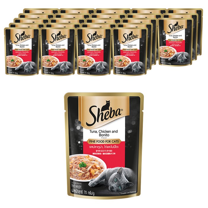 쉬바 고양이 주식 파우치