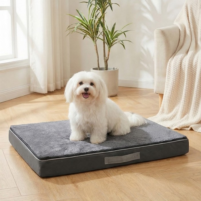 노야 강아지 방석 사계절 커버분리형 메모리폼 사각 애견 쿠션 침대