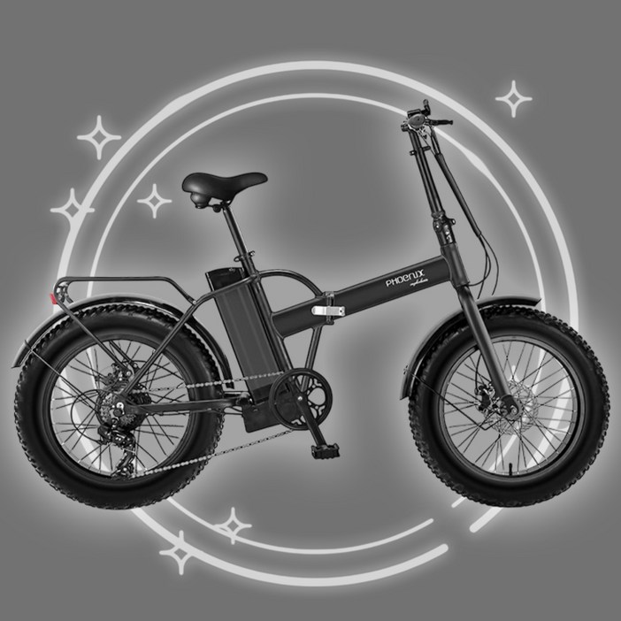 비아볼타 48V 500W 20인치 접이식 전기자전거 전동자전거, 검정, 스틸