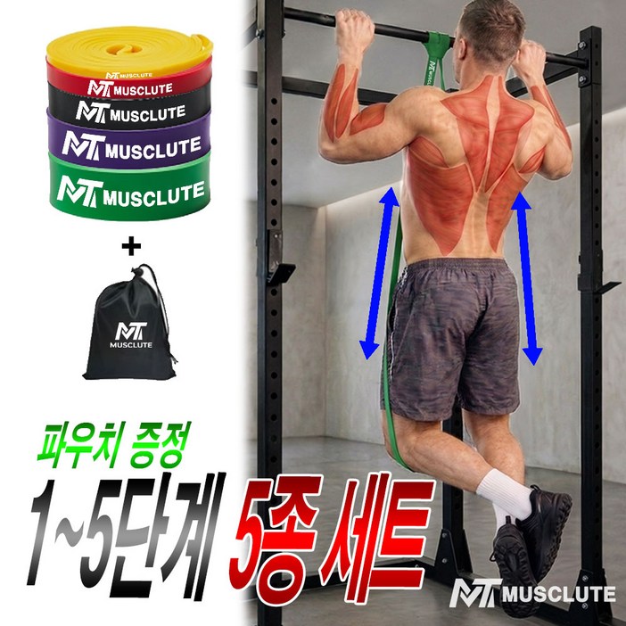머슬루트 고탄력 턱걸이 풀업밴드 12345 단계 세트