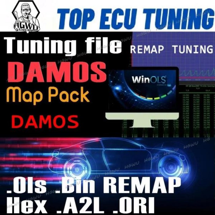 ECU Progam 소프트웨어 Win ols Damos(100GB 이상) 원산지 자동차 A2L KP 육각형 MAPPACK 튜닝 리매핑 MOD