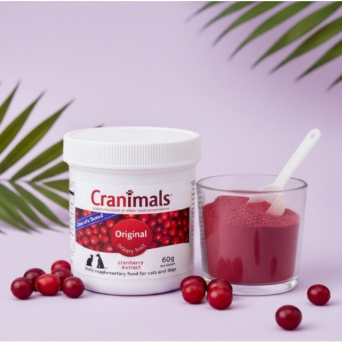 강아지 고양이 방광염약 영양제 신장 슬러지 보조제 요로 결석 약 빈뇨 혈뇨 오줌 찔끔거림 비뇨기계 질환 예방