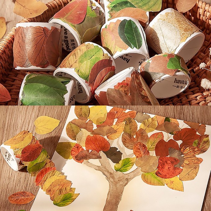 가을낙엽 롤 스티커 50개입 (10롤) 단풍잎 나뭇잎 어린이집 유치원, 은행나무 잎